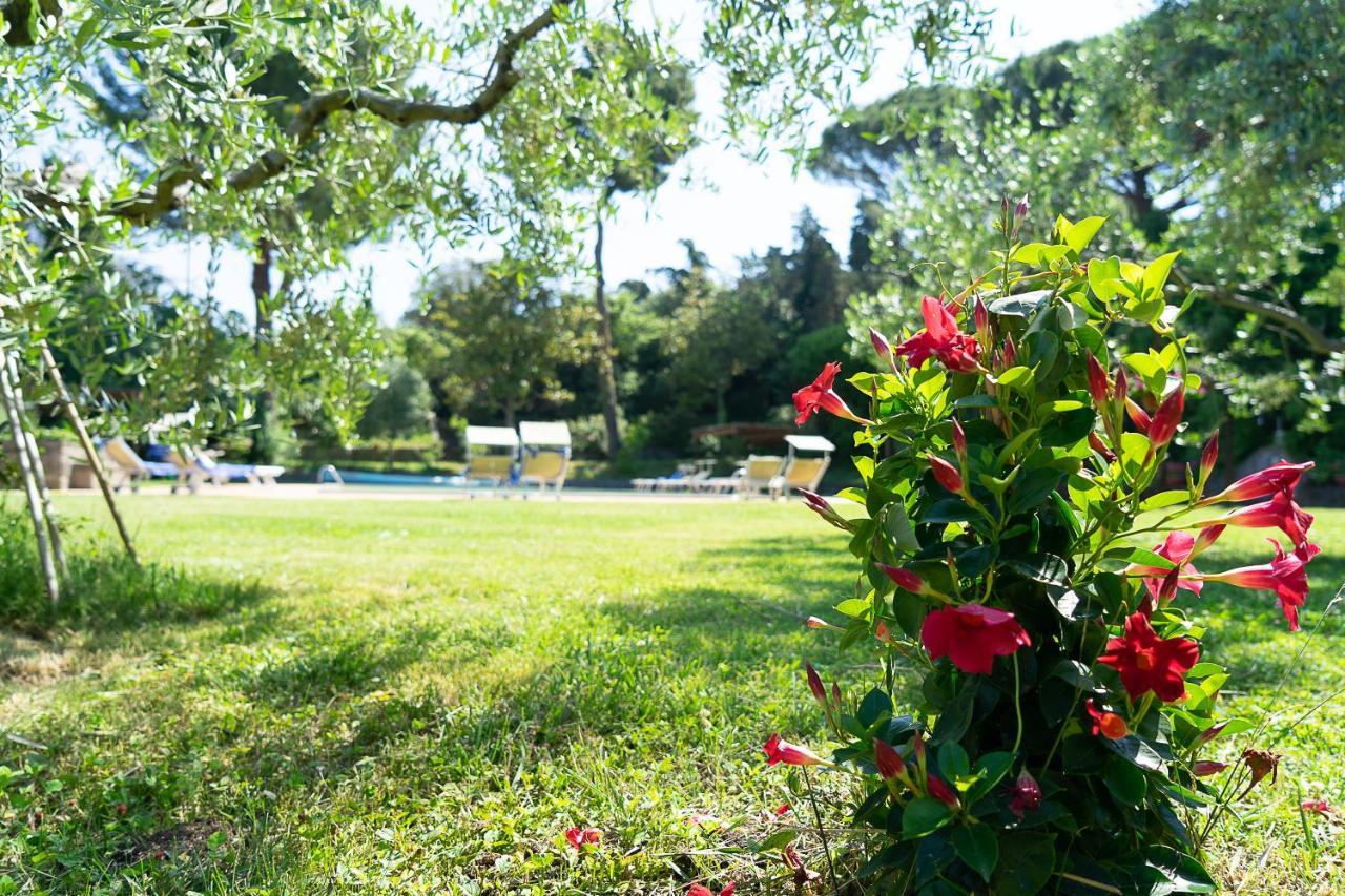 Frascati Country House Grottaferrata Eksteriør bilde
